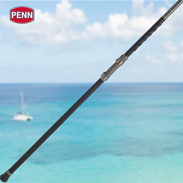 Penn Carnage III Surf Conventional Casting Fishing Rod 12 ft. Up to 50 lbs. Black 1545868-HD - The Home Depot Penn Carnage III Surf Conventional Casting Fishing Rod 12 ft. Up to 50 lbs. Black 1545868-HD - The Home Depot