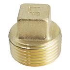 MacDonald Plumbing Supplies Brass Flange Plug 3/4