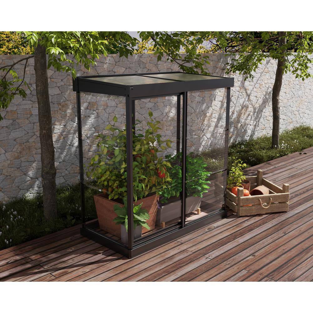 Palram Black Polycarbonate and Aluminum Mini Greenhouse