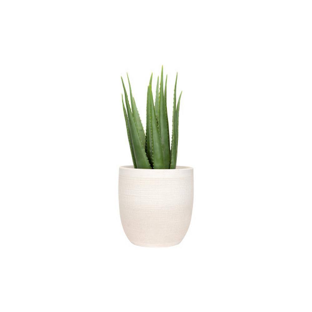Large Matte White Embossed Stoneware Indoor/Outdoor Planter