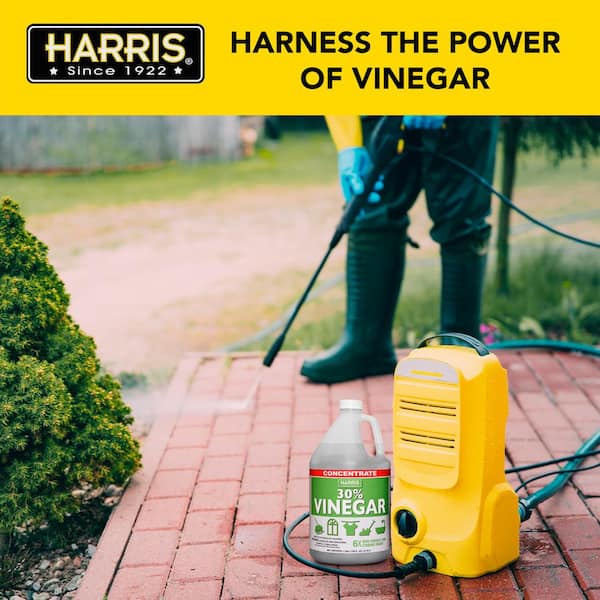 Harris 128 oz. 30% Vinegar All Purpose Cleaner Concentrate VINE30-128 - The  Home Depot