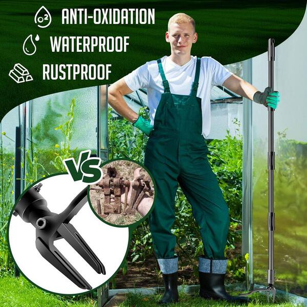 8 Tooth Rake Thatch Rake 2025 Upgraded Iron Weeding Rake - 8 Tooth Garden Weed ...