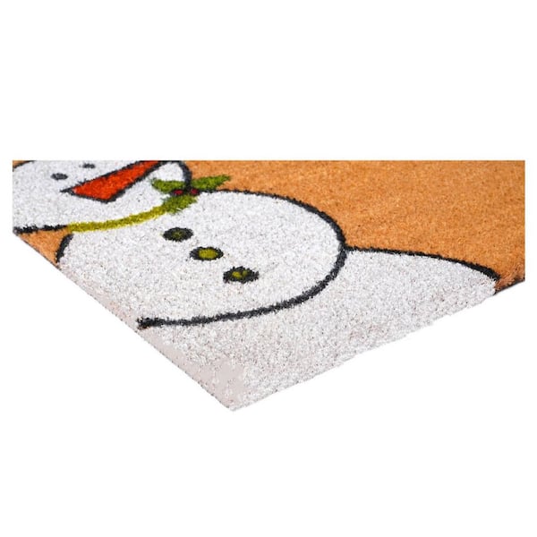 Multi-Colored 48 in. x 30 in. Coir Outdoor Door Mat