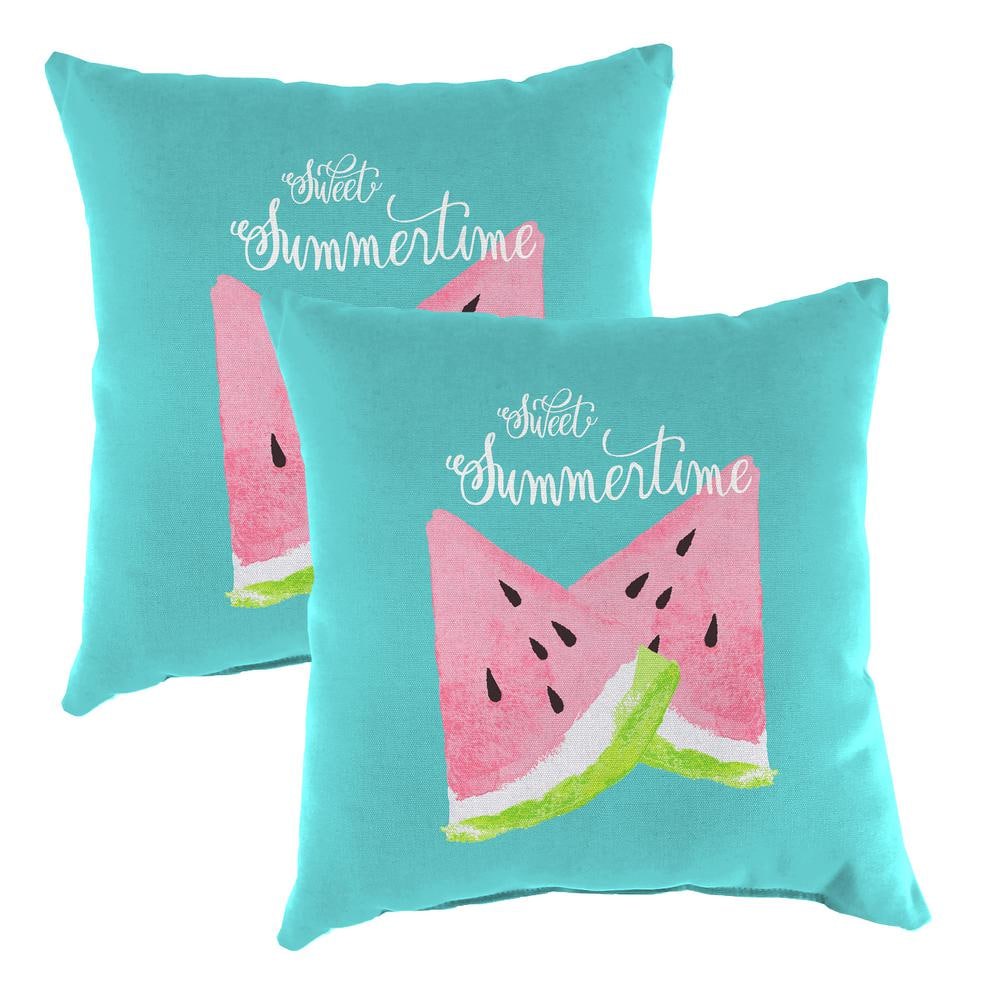16 in. L x 16 in. W x 4 in. T Square Outdoor Throw Pillow in Summertime Watermelon (2-Pack) price history on PriceWatchPro