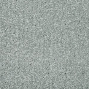 Feather - Sea Mist - Green 12 ft. 54 oz. Wool Texture Installed Carpet