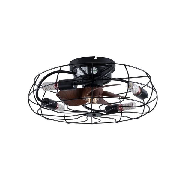 Caged Ceiling Fan