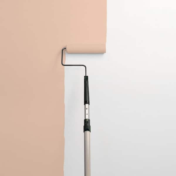 Cinnamon Ice PPG1071-4 Paint