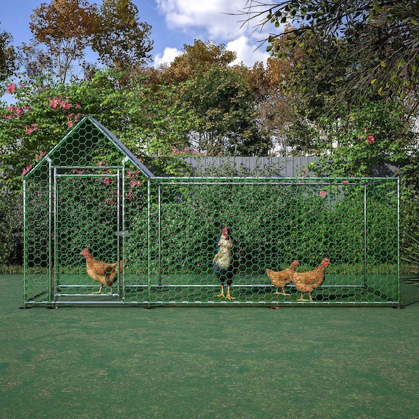 9.9 ft. L x 3.5 ft. W x 5 ft. H Large Galvanized Steel Walk-in Chicken Coop with Waterproof and Anti-Ultraviolet Cover