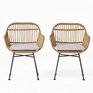 Brown+Beige Iron+Plastic Outdoor Rattan Lounge Chair in Brown Set of 2