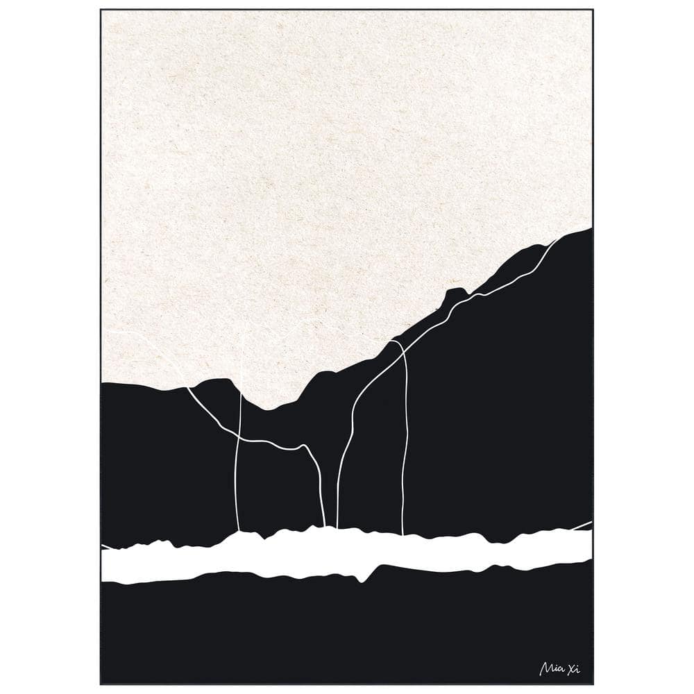 Black and White 8' x 10' Apart Washable Abstract Art Area Rug Power-loomed Heavenly Softness with Non-Slipping Backing price history on PriceWatchPro
