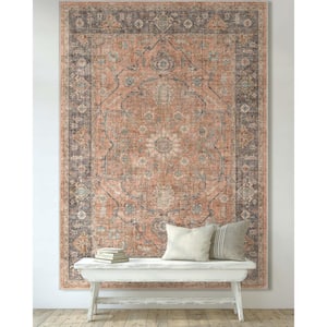Coral 5 ft. 3 in. x 7 ft. 3 in. Apollo Antigua Vintage Persian Oriental Area Rug