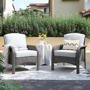 Denali Gray Modern Wicker Outdoor Lounge Chair Seating Set with Light Gray Cushions (2-Pack)