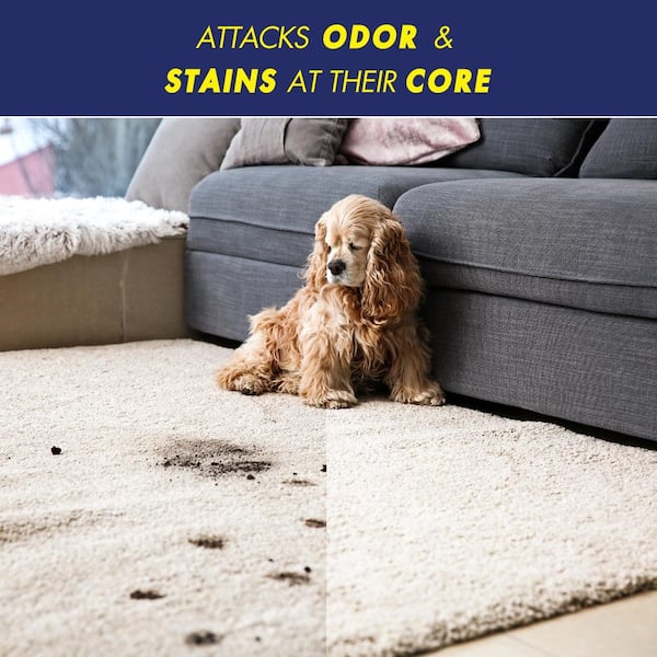 32 oz. Pet Stain and Odor Eliminator Spray (6-Pack)