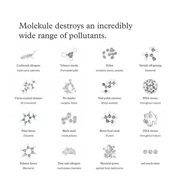 Filtre PECO Molekule Pour Air Mini - Élimine Virus Et Allergènes | Remplacement Tous Les 6 Mois
