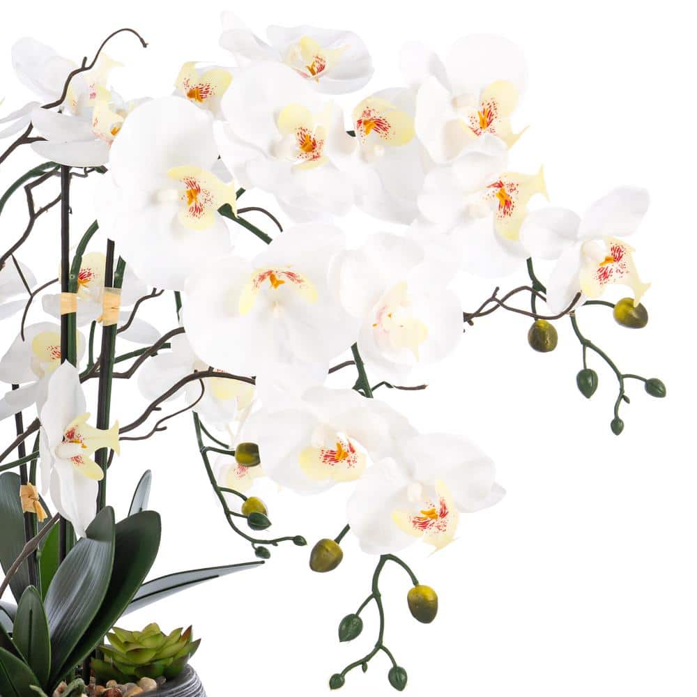 Large White and Green Plastic Orchid Arrangement in Black Pot