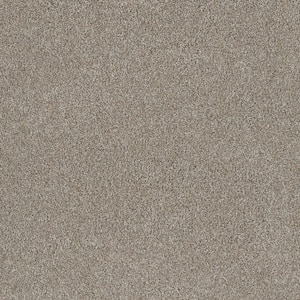 Misty Meadows III- Hulett Gray - 75 oz. SD Polyester Texture Installed Carpet
