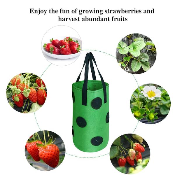 15 X 9 Inch Strawberry Grow Bags With 8 Grow Holes Hanging Planter Box Vegetable  Grow Bag Breathable Vegetable Flower Growing Bag With Handles