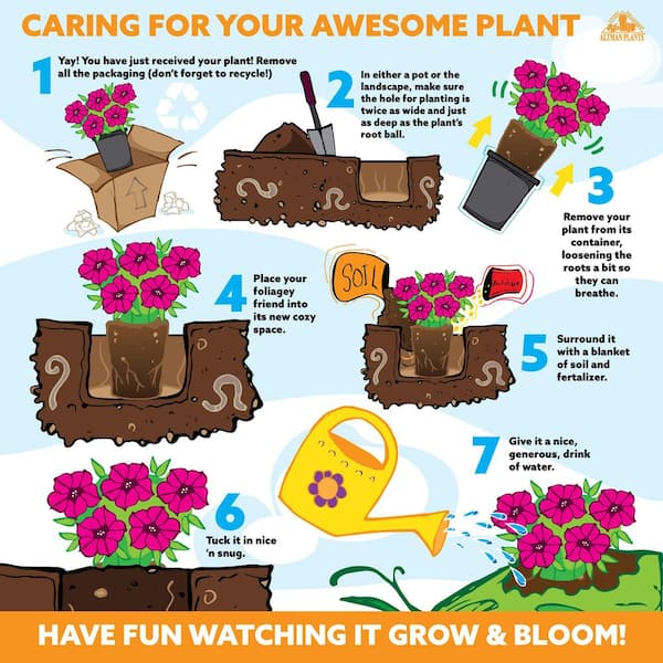 Your guide to becoming a plant mom this fall - GirlsLife