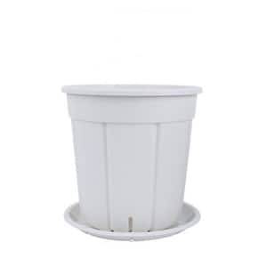9 in. x 9 in. White Plastic Planting Pot with Tray