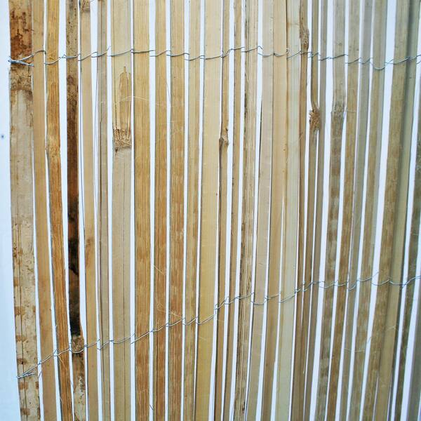 Backyard X Scapes 6 Ft H X 16 Ft L Natural Raw Split Bamboo Slat Fencing 20 Bsn The Home Depot Backyard X Scapes 6 Ft H X 16 Ft L Natural Raw Split Bamboo Slat Fencing 20 Bsn The Home Depot