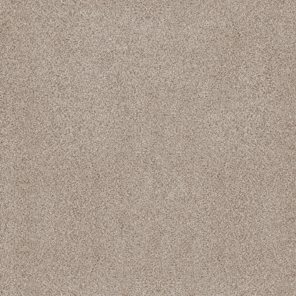 8 in. x 8 in. Texture Carpet Sample - Sand Dunes I - Color Aurora price history on PriceWatchPro