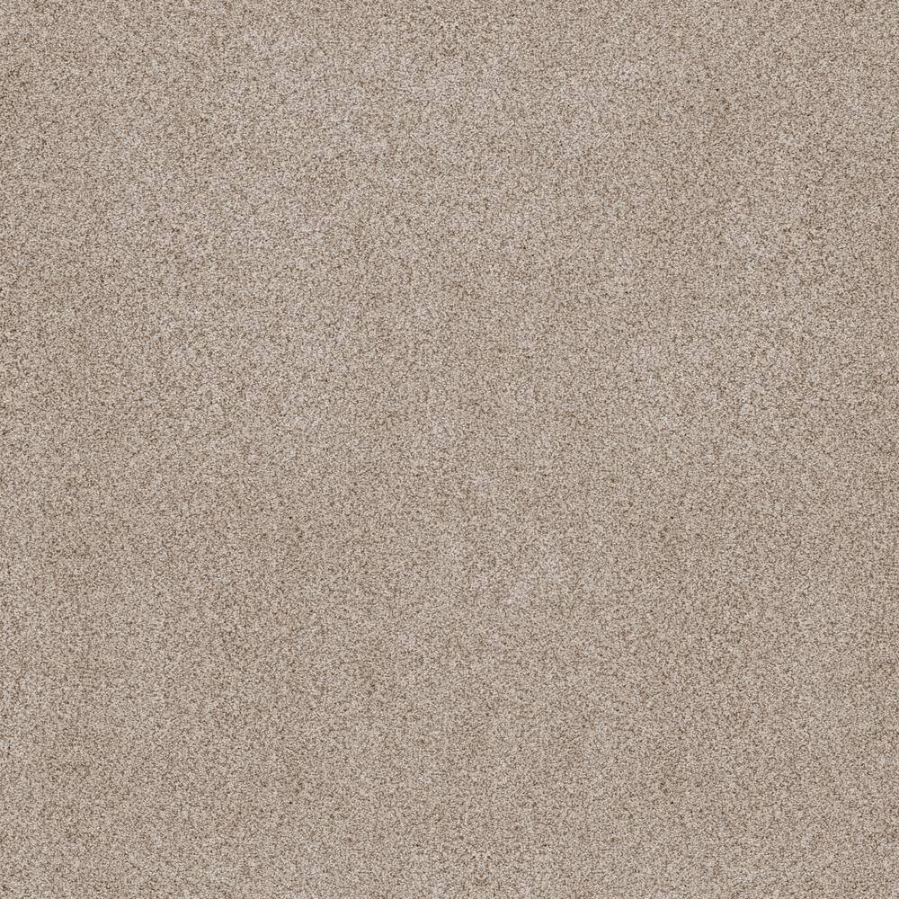 8 in. x 8 in. Texture Carpet Sample - Sand Dunes II - Color Aurora price history on PriceWatchPro