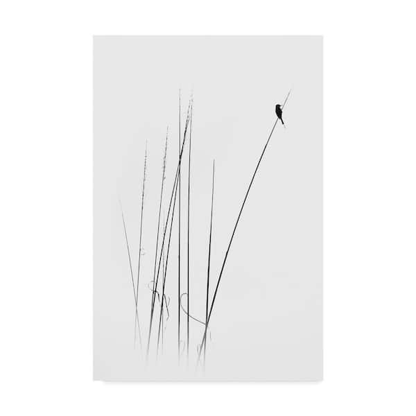 Trademark Fine Art Swapnil 'A Sabbatical' Canvas Unframed Photography Wall Art 22 in. x 32 in