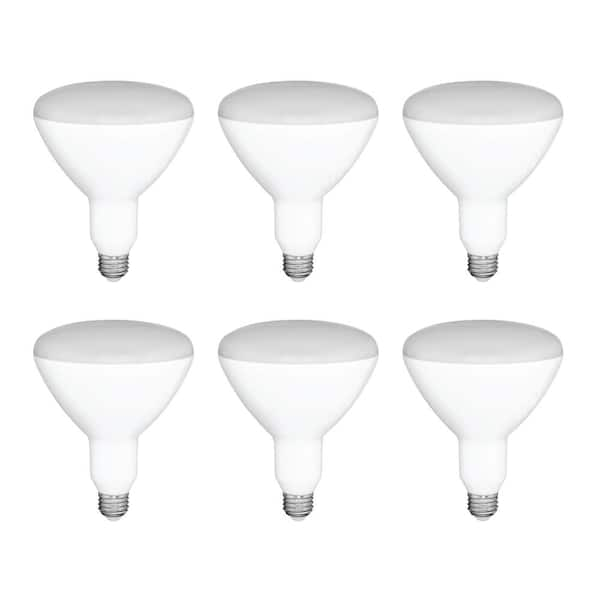 Unbranded 65-Watt Equivalent BR30 Dimmable LED Light Bulb Soft White (6-Pack)