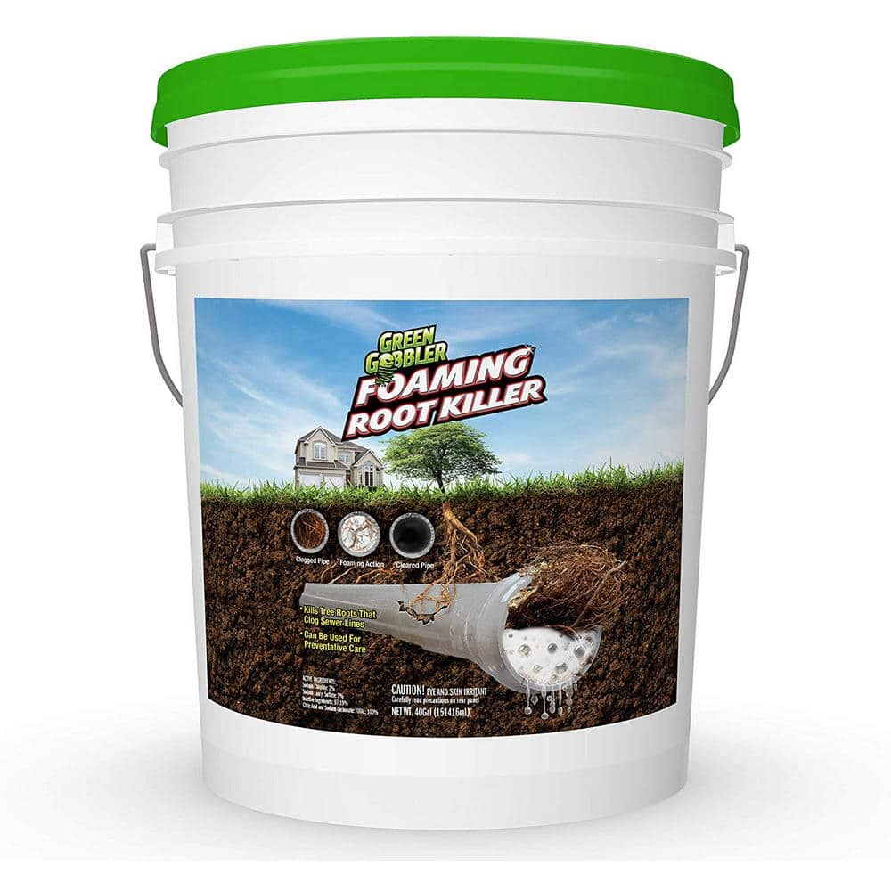 best root killer for pipes