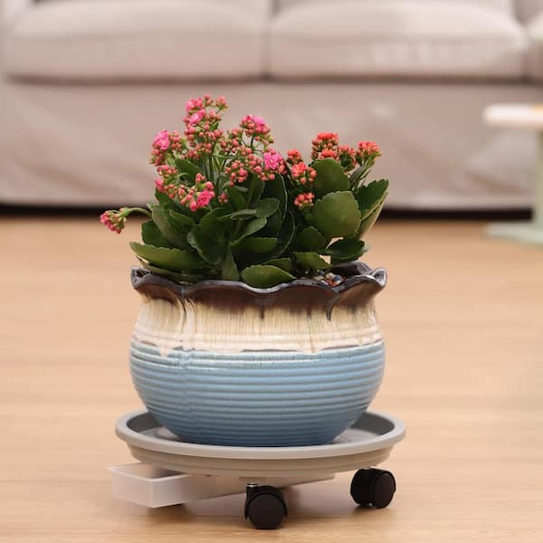 pesticide for house plant Instant Plant Protection