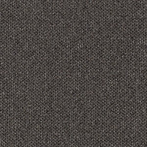 Social Network I  - Charcoal - Gray 21 oz. Nylon Loop Installed Carpet