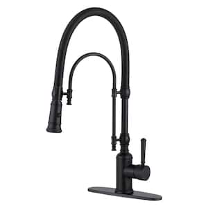 Single Handle Gooseneck Pull Down Sprayer Kitchen Faucet with 2-Spray in Solid Brass Matte Black