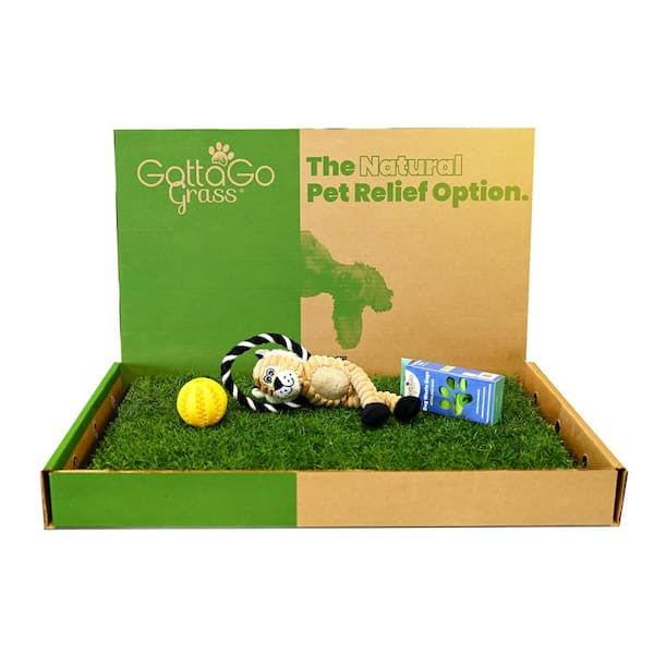 Unbranded Gotta Go Grass Bermuda Refill Plus Waste Bags Plus Toy Ball Plus Squeaky Toy