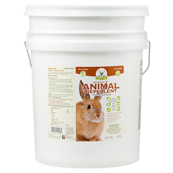 5 Gal. Bobbex-R Animal Repellent Concentrated Spray