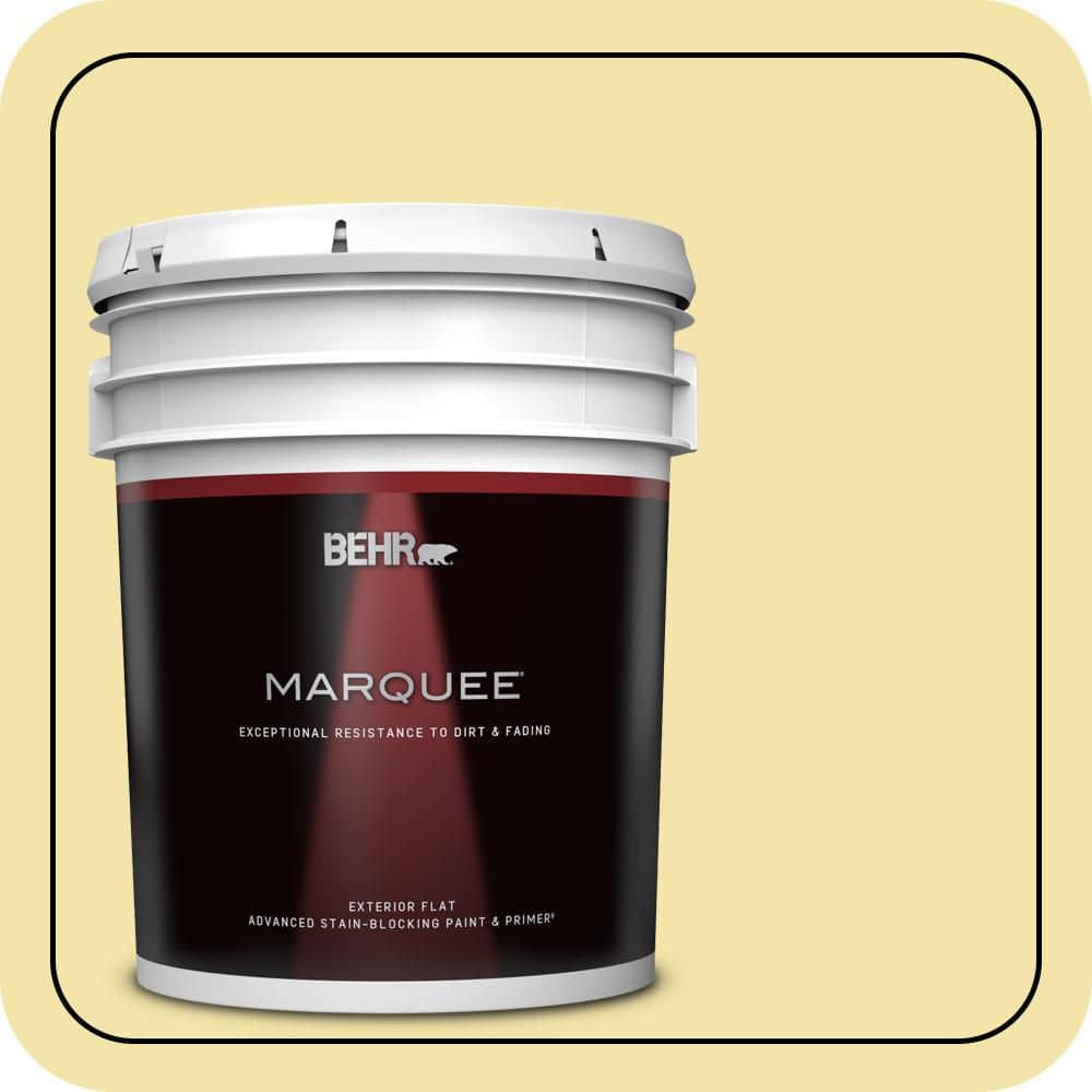 5 gal. #P320-3 Lily Bulb Flat Exterior Paint & Primer price history on PriceWatchPro