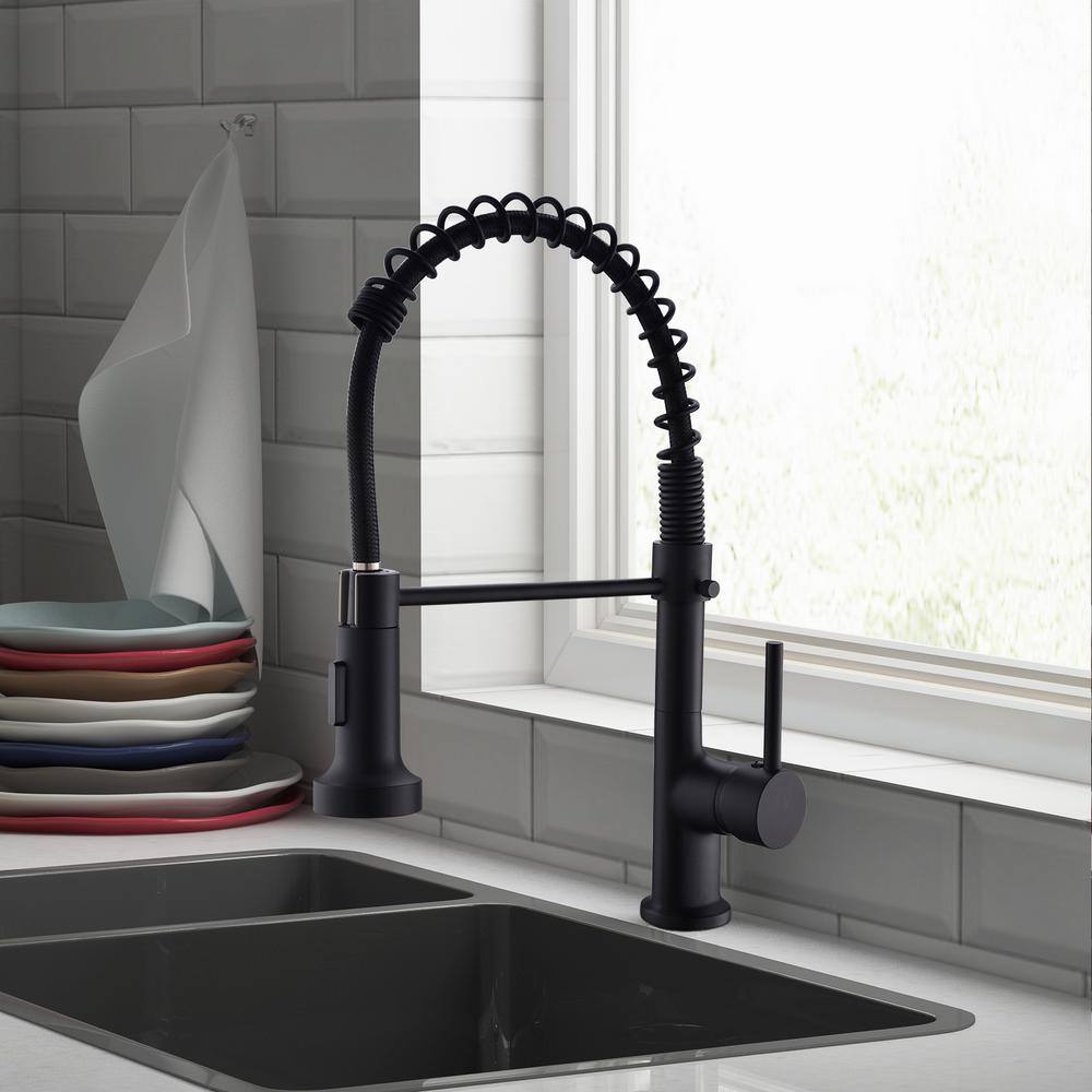 Matte Black Brass Single-Handle Pull-Down Kitchen Faucet