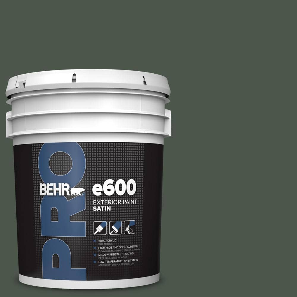 5 gal. #PMD-66 Deep Evergreen Satin Exterior Paint price history on PriceWatchPro