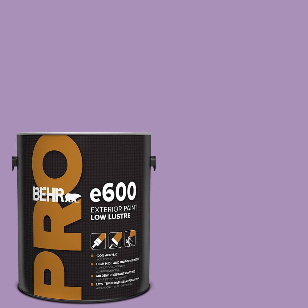1 gal. #650B-5 Garden Pansy Low Luster Exterior Paint price history on PriceWatchPro