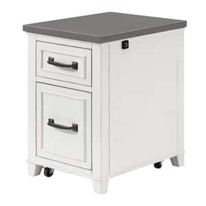 Del Mar Antique White and Grey 2-Drawer File Cabinet with Fingerprint Lock