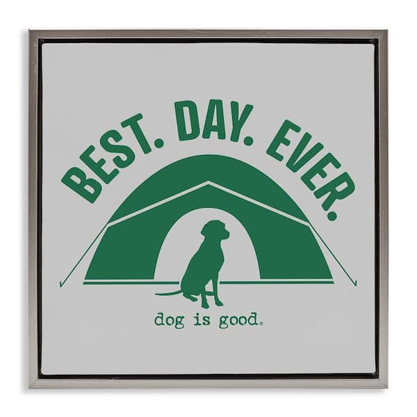 Stupell Industries Best Day Camping Dog by Dog is Good Gray Floater Frame Animal Graphic Art Print 25 in. x 25 in.