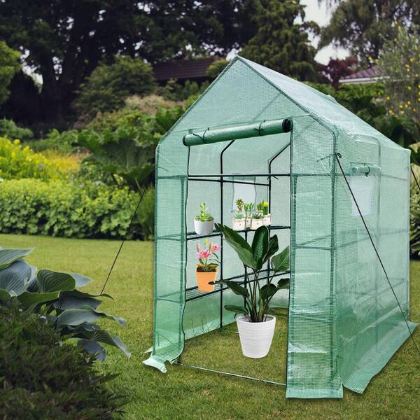 56 in. L x 56 in. W x 76 in. H Mini Walk-in Metal Greenhouse 2