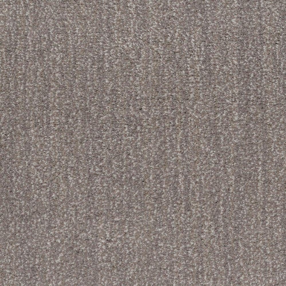 8 in. x 8 in. Texture Carpet Sample - Fluffy Expectations - Color Barn Beam price history on PriceWatchPro