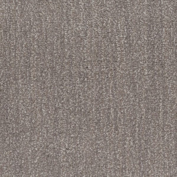Lifeproof 8 in. x 8 in. Texture Carpet Sample - Fluffy Expectations - Color Barn Beam