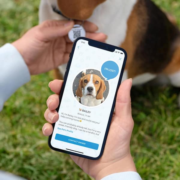 Ring Pet Tag - QR code Pet Tag with real-time scan alerts and a shareable  pet profile B0BLXHWPLP - The Home Depot