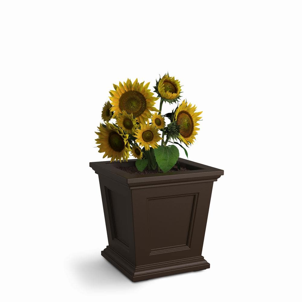 Espresso 17" Square Self-Watering Polyethylene Planter