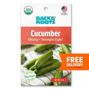 Organic Cucumber 'Straight 8' Gardening Seeds