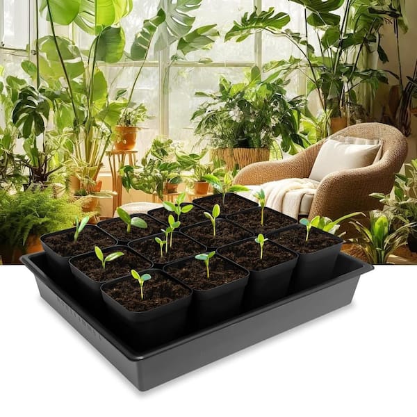 hcman 60-Pack 3.5 in. H Square Plastic Nursery Pots with Seed