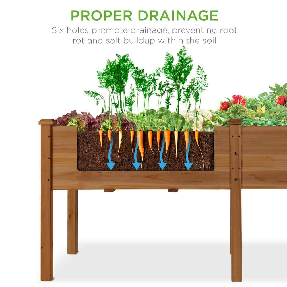 Acorn Brown 72" Fir Wood Elevated Garden Planter Box
