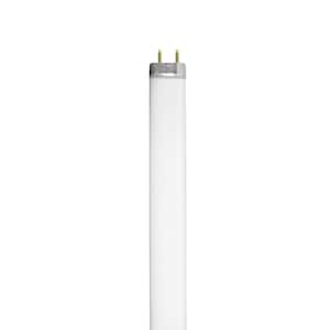 15-Watt 18 in. T12 G13 Linear Fluorescent Tube Light Bulb, Cool White 4100K (1-Pack)