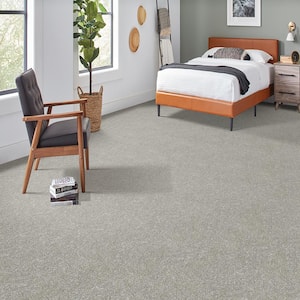 Denfort - Cloudy Day - Gray 70 oz. Triexta Texture Installed Carpet